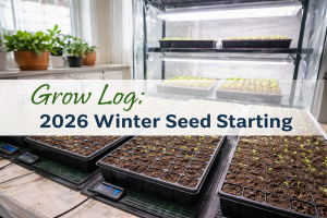 Indoor winter seed-starting setup with 72-cell trays, heat mats, and full-spectrum LED grow lights on a tiered rack