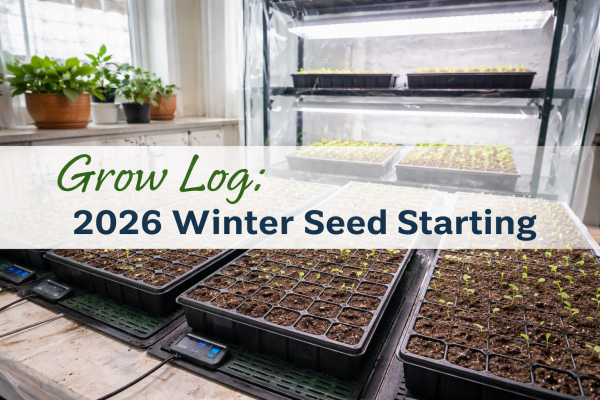 Indoor winter seed-starting setup with 72-cell trays, heat mats, and full-spectrum LED grow lights on a tiered rack
