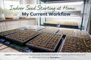 Indoor seed-starting workflow with 72-cell trays, heat mats, and full-spectrum LED grow lights on a tiered greenhouse rack