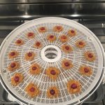 Pet Treats – TurkeyCran – After